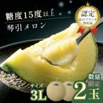 ふるさと納税 京丹後市 【京のブランド産品】 京たんごメロン 琴引メロン 2玉 3Lサイズ(1玉_1.9〜2.2kg)高糖度