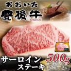 おおいた豊後牛サーロインステーキセット 500g