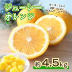 熊本産ジューシーオレンジ4.5kg