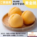ふるさと納税 玉野市 【2026年発送】ご家庭用　おかやまの黄金桃　大玉3玉　約900g