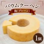 ソフトバウム 拘 プレーン K311