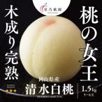 ふるさと納税 津山市 【清水白桃】岡山県産 三つ星 星乃桃園 1.5kg (5〜6玉)