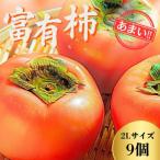 ふるさと納税 大野町 甘くておいしい岐阜の柿 【富有柿】 2L×9個 秀品 岐阜県 大野町(2025年11月下旬〜発送)