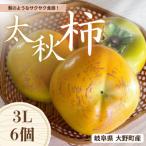 ふるさと納税 大野町 梨のようなサクサク食感!【太秋柿】 3L×6個 秀品 岐阜県 大野町(2025年10月中旬〜発送)