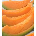 ふるさと納税 上川町 【訳あり】家庭用2026年夏発送　岸田農園北海道メロン3玉(1玉1.5kg)30セット限定