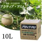 アクティブアミノ10L