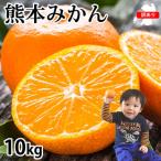 ふるさと納税 宇城市 訳あり みかん 計10kg【2025年10月上旬から2026年2月下旬発送予定】(宇城市)