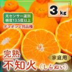 不知火 デコポンと同品種 3kg