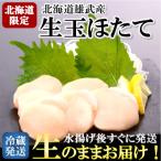 ふるさと納税 雄武町 【北海道限定!生ほたて】北海道雄武産 生玉ほたて 300g 塩水パック(冷蔵)【G07150】