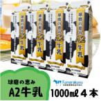 球磨人吉産 球磨の恵みA2牛乳 1000ml×4本パック