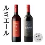 ルミエール GABU 石蔵和飲 2本セット