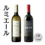 ルミエール 石蔵和飲 甲州シュールリー2本セット