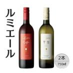 ルミエール 甲州シュールリー GABU 2本セット