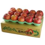 りんご サンふじ 産訳あり品 5kg