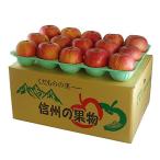 MZ11 南信州産 サンふじりんご 約10kg