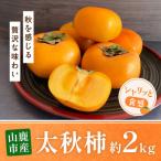太秋 柿 約2kg
