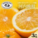 ふるさと納税 八幡浜�