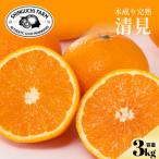 清見 3kg