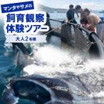 マンタやサメの飼育観察体験ツアー大人2名様