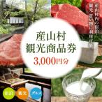 観光商品券3 000円 1 000円×3枚