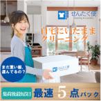 せんたく便 最速5点パック 宅配クリーニングサービス