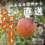 ふるさと納税 豊丘村 【南信州産】シナノスイート 秀品 約10kg(20〜36玉) 10月上旬〜順次発送