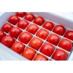 fu.... налог . река город [ очень популярный подарок ] высшее . высота сахар раз фрукты помидор [pomo*rosa] 24 шарик ввод подарочная коробка 