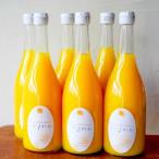 ふるさと納税 松山市 【予約受付】いよかんストレート果汁100%ジュース 720ml × 6本