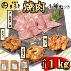 ふるさと納税 養老町 【飛騨牛】焼肉4種セット　ロース・肩ロースと味付けホルモンなど　合計1kg