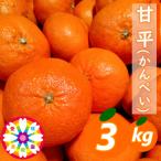 ふるさと納税 八幡浜市 愛咲果樹園 「 甘平 」約3kg【D71-28】