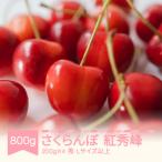 ふるさと納税 村山市 2025年産 さくらんぼ 紅秀峰 800g (200g×4) 秀 Lサイズ以上 山形県産