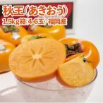 福岡産ブランド柿 秋王4-6玉 約1.5kg