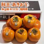 福岡産ブランド柿 秋王8-12玉 約3kg