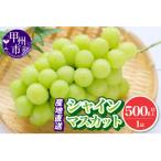 ふるさと納税 甲州市 【2026年発送】池田青果 厳選 シャインマスカット 1房(500g以上) (IS)A08-466