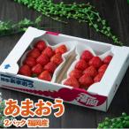 福岡産 あまおういちご約250g×2パック