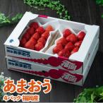 福岡産 あまおういちご約250g×4パック