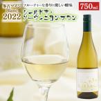 ふるさと納税 多古町 多古ワイン 2022 Blanc(ブラン)シャルドネ・ソーヴィニョンブラン【白ワイン】750ml