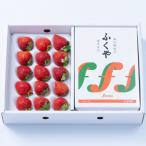 福岡産あまおう&amp;ふくや味の明太子540g