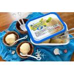 ふるさと納税 さくら市 北海道バニラ2L(2L×1個)|アイス デザート 業務用 ※離島への配送不可