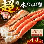 ボイルたらば蟹肩 10L以上