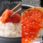 ふるさと納税 鹿部町 丸鮮道場水産 いくらしょうゆ漬けと玲瓏明太子 120g×各2個(計480g) MC100-6