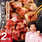 ふるさと納税 泉佐野市 やわらか牛ヒレ肉 切り落とし 2kg 訳あり サイコロステーキ 氷温熟成×特製ダレ mrz0064