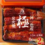 三河一色産うなぎ蒲焼大2尾 計280g以上