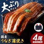 うなぎ蒲焼4尾セット