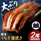 うなぎ蒲焼2尾セット