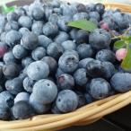 fu.... налог Toyokawa город [ предшествующий предварительный заказ ]2026 год сырой голубика 20 лет культивирование период средний пестициды не использование Mitsuba chi поле. голубика 