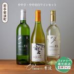 自園自醸ワイン紫波 樽熟成 赤ワイン3本セット