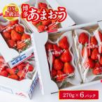 ショッピングふるさと納税 いちご ふるさと納税 北九州市 福岡県産 博多あまおう DX上級品 約1.62kg (約270g×6p)【2026年1〜3月発送】