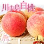 ふるさと納税 伊達市 伊達市産の桃 川中島白桃の特秀 4玉入り (計約1.2kg) F21C-077