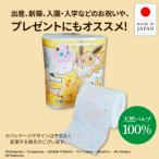 ふるさと納税 土佐市 ポケモン トイレットペーパー ダブル 30m 4ロール×20個入り